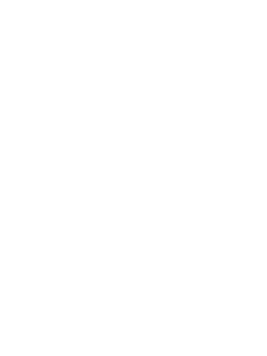 Misión